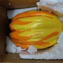 Halloween LED Pumpkin Lights Battery Operated Flame Pumpkin Decoration Outdoor 3D Lighted Pumpkins Jack-O-Lantern Fall Pumpkins Resin Light Up Pumpki Figurine for Garden Decor (1, L-9.84*5.91inch)