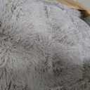 6x9 Area Rugs for Living Room: Soft Grey Fluffy Rug Shag Washable Rug Plush Fuzzy Indoor Carpet for Bedroom Nursery Playroom Girls Boys Kids Room (Grey, 6'x9')