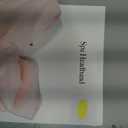  Adjustable Towel Spa Headband for Women Hair