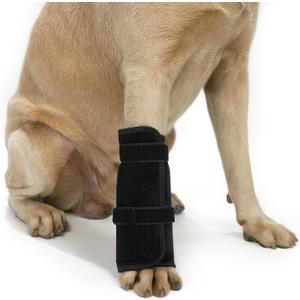Dog Front Leg Knee Brace with Aluminum Splint for Post-Surgery Recovery, Front Leg Support Wrap to an Alternative to a cast, Adjustable Straps for Joint Protection and Healing (Black, L)