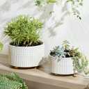 LE TAUCI Succulent Pots, 6.5+8 Inch Ceramic Indoor Plant Pot with Drainage Hole, Shallow Round Succulent Planters, Set of 2, Matte White