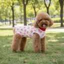 FEimaX Dog Surgery Recovery Suit Female and Male Spay with Pee Hole, Pet Body Suits for Puppy After Spayed, Neuter Surgical Onesie for Small and Medium Dogs Cats, Alternative Bandages E-Collar & Cone, S
