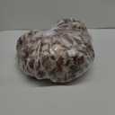 WDCOZY Cheetah Leopard Print Bubble Throw Blanket, Luxury Faux Rabbit Fur Mink Plush Throw for Couch, Sofa and Bed, Soft Fluffy Fuzzy Cozy Blanket for Women, Thick and Warm, 50x60 inches