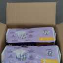 The Honest Company Clean Conscious Overnight Diapers | Plant-Based, Sustainable | Cozy Cloud + Star Signs | Club Box, Size 3 (16-28 lbs), 52 Count