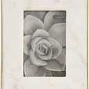 Mud Pie 5" X 7" MARBLE & GOLD FRAME