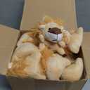 Shappy 50 Pcs Mini Animal Plush Toys Small Stuffed Animals Bulk Cute Tiny Plushies Keychains for Gift Party Carnival Prize (Lion)