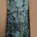 Giegxin 90 Pcs 3 Kinds Mixed Eucalyptus Leaves Stems Bulk Artificial Silver Dollar Leaves Picks Dried Eucalyptus Bundle Faux Spray for Wedding Vase Bouquet Floral Arrangement (Green)