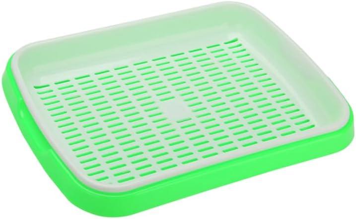Hemoton Sprouter Tray, 13.77 x 10.23 Inch PP Germination Tray | Dense Drainage Grid for Wheatgrass Microgreens Beans and Indoor Growing, 35.00X26.00X5.00CM