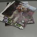 5 x windrio 2026 Wall Calendar, Calendar 2026, July 2025 - December 2026, Wall Calendar Maltese, 12" x 24" Opened,Full Page Months Thick & Sturdy Paper for Calendar Organizing & Planning