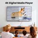 4K Digital Media Player, TV MP4 Video Player with HDMI/AV Output, Digital Signage Mini HD Media Players for USB Drives/SD Cards, H.265/HEVC, Looping, Auto Playback, Grey