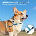 6FT Slip Lead Dog Leash with Double Padded Handle, Anti-Tangle Slip Leads for Dogs, Reflective Nylon No-Pull Training Leash for Small Medium Dogs, Sky Blue