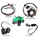 Complete Electrics Wiring Harness Kit for Coolster Tao Tao 125cc 110cc 70cc 50cc ATV Quad 4 Wheeler 4 Stroke Parts, with Lgnition Coil Solenoid Valve Starter Relay Stator Voltage Regulator CDI Box