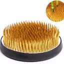 Flower Frog Round Holder for Arrangements 3.3" Inch