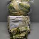 Tommy Bahama - Queen Comforter Set, Cotton Sateen Bedding with Matching Shams & Bedskirt, Home Decor for All Seasons (Palmiers Green, Queen)
