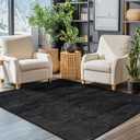 LIANLAM Washable 3x5 Entry Rugs for Entryway Kitchen Bathroom Door Mat Indoor Entrance - Stain Resistant Non-Slip Backing Low Pile Black Rug,Durable & Ultra- Farmhouse Decor(3x5,Black)