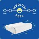 SEALY Dreamlife Standard Size Contour Memory Foam Pillow with Surface Guard Technology, Removable Machine-Washable Cover, Queen