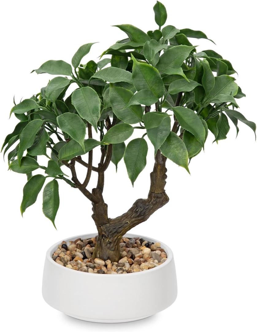 Artificial Bonsai Tree, Small Ficus Bonsai Tree 13" Indoor Bonsai Tree Fake Potted Plant Decorative Fake Desk Plant Decor with Ceramic Pot for Home Office Living Room Bedroom Bathroom Table Shelf
