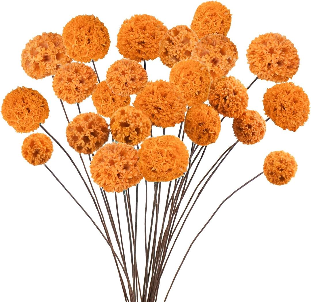 24 PCS Dried Craspedia Billy Balls Flowers, 18 Natural Dried Flowers Bouquet for Vase Floral Arrangements Wedding Table Centerpieces Party DIY Home Decor (Orange) (24 Pcs, Orange)