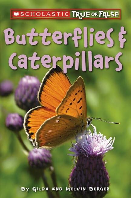 Butterflies & Caterpillars