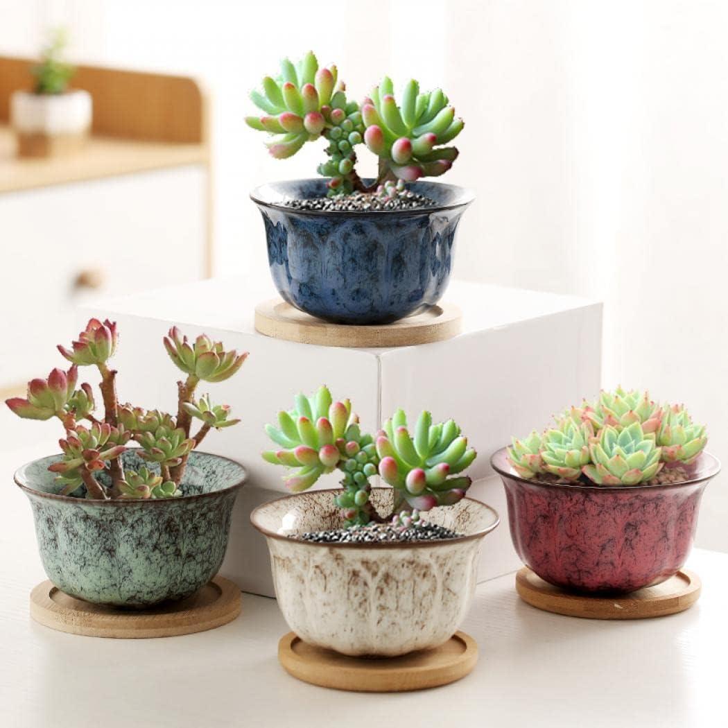Succulent Pots with Drainage Embossed Dragon Pattern Bottom Bamboo Tray Ceramic Flower Pot 4 PCs Cactus Planter Pots Modern Marble Print Succulent Plant Pots Home Office Desktop Windowsill Dcor