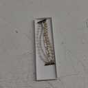 V-MORO Compatible with Apple Watch Band Pearl Series 11/10/9/8/7 46mm 45mm 44mm 42mm Women Fashion Handmade Beaded Elastic Strap Dressy Stretch Bracelet for iwatch SE Series 6/5/4/3/2/1-White/Gold