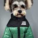 Dog Winter Coat Duck Down Jacket for Small Medium Dogs-Thicken Dog Coat Windbreaker Puppy Winter Clothes for Cold Weather Snowday (Green, Medium)