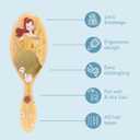 Wet Brush Disney Princess Belle Original Detangler Hair Brush, Pain-Free Knot Removal, Flexible Bristles Detangle Wet or Dry Strands, Works on All Hair Types, Ergonomic Handle, Reduces Breakage