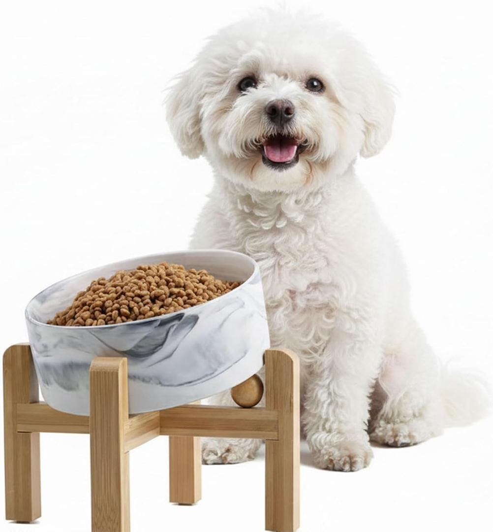 hjn Elevated Ceramic Dog Bowl 15°Slanted Raised Dog Bowl with Bamboo Stand for Small Medium Dogs and Cats, Pet Feeder -3.6-Cup (850ml)-Marble Gray