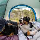 Coleman Skydome Tent with 5 Minute Setup, 4-Person Weatherproof Tent with Rainfly & Carry Bag, 20% More Headroom Than Traditional Canopies, PFAS-Free