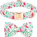 Lionheart glory Dog Collar, Cute Dog Bow Collar Boy Girl Dog Collars with Bow Adjustable Dinosaur Bowtie Collar for Medium Dogs Pet Gift Spring Summer Collars (Medium (Pack of 1)