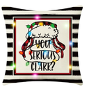 Christmas Vacation Decorations, Funny Holiday Pillow Cover, Griswold Family Christmas Vacation Merch Gifts, 18x18 Inch Holiday Throw Pillow Covers, Farmhouse Xmas Cushion Case Sofa Decor (Nobody)