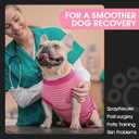 FUAMEY Recovery Suit for Dogs After Surgery,Soft Breathable Dog Bodysuit E-Collar & Cone Alternative Surgical Suit,Male Female Dog Neuter Spay Suits Anti Licking Wounds Onesie Rose Stripes L