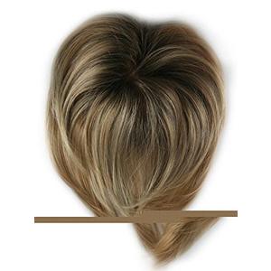 Wigs Synthetic Straight Mid-Length Top Piece Hair Addition Bundle with Wig Comb, MaxWigs Hairloss Booklet
 10 Inch