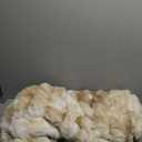 Amazon.com: BEDELITE Faux Fur Throw Blanket for Couch, Decorative Tie-Dye Khaki Plush Bubble Blanket - Super Soft & Cozy Fluffy Faux Rabbit Fur Blanket for Women Gift, 50x60 Inches : Home & Kitchen