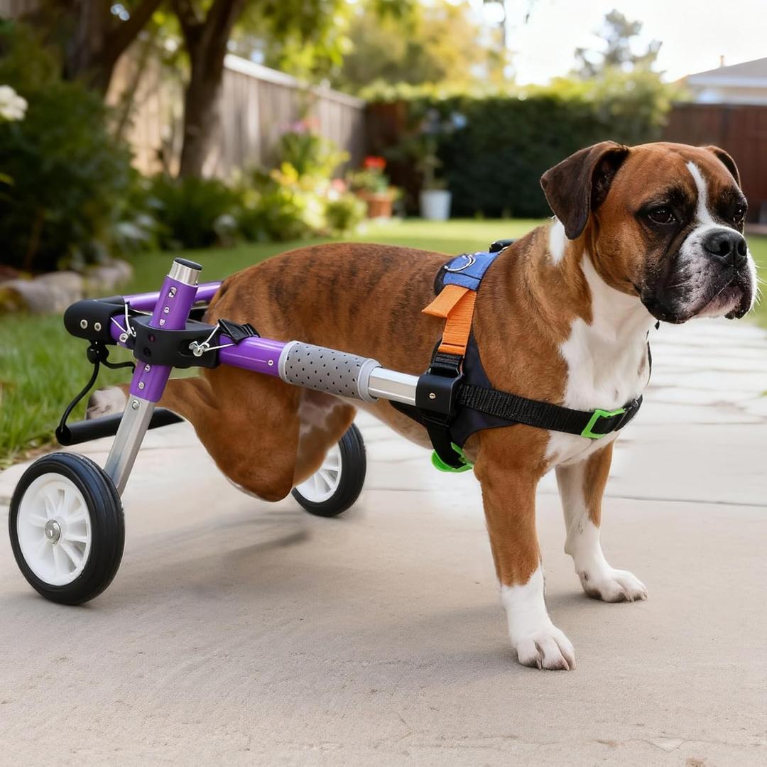 LetPetRun Dog Support Wheelchair for Back Legs Adjustable Dog Mobility Cart for Hind Legs Support Cart for Injured or Paralyzed Dogs (S-B)