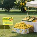3 Pcs Lemonade Sign,12" x 16'' Fresh Squeezed Lemonade Yard Lawn Sign with Steel Stakes Double Sided Lemonade Stand Birthday Party Decorations for Lemonade Stand Supplies Store Home Outdoor