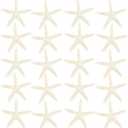 Jangostor 20 PCS Starfish, 2.5" to 4" Natural Seashells Starfish Star Fish Shells Decorations White Starfish Ornaments Perfect for Wedding Beach Theme Party Home Decorations, DIY Crafts, Fish Tank