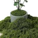 Artificial Moss 8.8oz Laying area of 12 Square feet Fake Green Moss for Crafts, Potted Plants, Fairy Garden Decor, DIY Table Centerpieces, Wedding Party Decoration window display (Moss green)