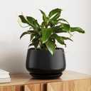 LE TAUCI Ceramic Planter, 10 Inch, Large Plant Pot, Indoor Plant Pot, Black