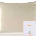 ZIMASILK 100% Pure Mulberry Silk Pillowcase 2 Pack, Soft and Smooth,Both Sides Premium Grade 6A Silk,600 Thread Count,with Hidden Zipper (Queen 20''x30'',Beige)