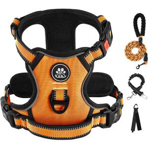 IVY&LANE No Pull Dog Harness for Small Dogs, Vest Harness with Leash, Safety Belt and Storage Strap, Fully Adjustable, 360 Reflective Strip, Soft Handle (Orange, S)
