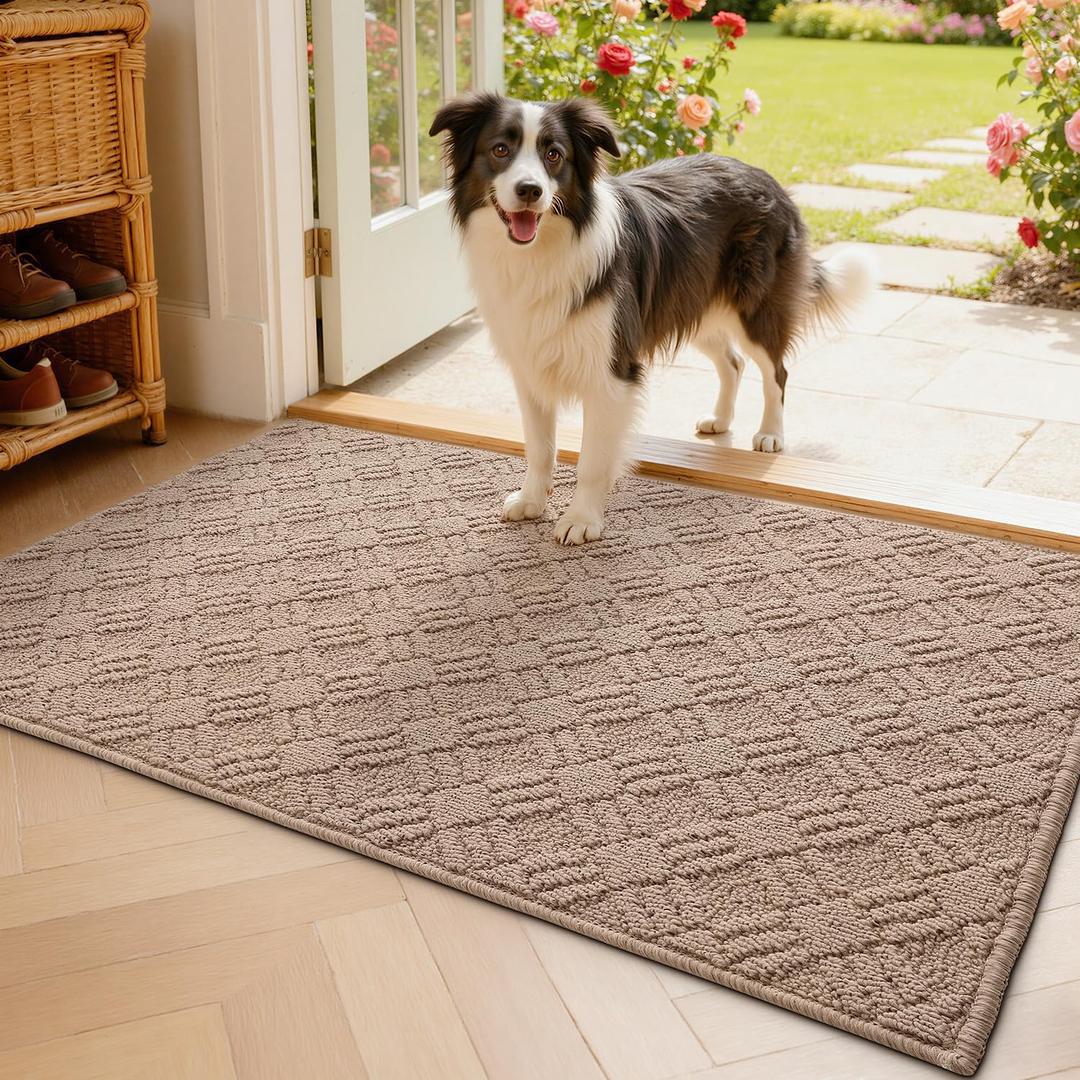 LUMI Indoor Door Mat, Absorbent Non-Slip Thin Doormat, Washable Door Mats, Woven Pattern Inside Floor Mat, Ideal for Entryway, Front Door, Home Decor, 24"x36", Woven Taupe