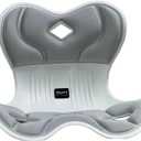 Ergonomic Lumbar Support Cushion, Silver,44.5mm x 410mm x 340mm, Standard Size, for Shoulder and Back Posture, 110-265 lbs Capacity