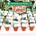 vensovo 3 Inch Terra Cotta & Terracotta Pots with Drainage - 20 Pack Clay Flowerpots, Succulent Nursery Planter Great for Plants, Crafts, Wedding Favor