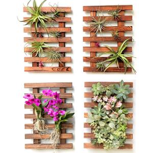 ShopLaLa Wall Planters - 4 Pack Wooden Hanging Planter for Indoor Outdoor Plants, Air Plant Succulent Orchid Holder, Live Vertical Garden Wall Mounted Plant Stand, Wall Christmas Decor 15.7" (40cm)