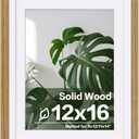 Egofine 12x16 Picture Frame with Plexiglass Made of Solid Wood, Display Pictures 9x12/11x14 with Mat or 12x16 Without Mat for Wall Mounting, Carbonized Brown