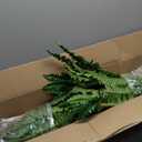 2-Piece Artificial Plant Set