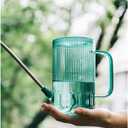 Long Spout Watering Can Indoor, Small Watering Cans for House Plants, Flowers, Succulents 33.8oz(Green)