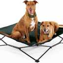 Coolaroo On-The-Go Elevated Dog Bed - Foldable Pop-Up Travel Dog Bed with Breathable, Moisture-Resistant Fabric, Carry Bag Included, Lightweight & Portable, Brunswick Green, Extra Large