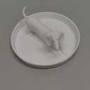 Qinyoung Ring Holder Dish 3D Printed Jewelry Holder Dish for Rings Earrings Trinkets Tray Jewelry Organizer for Women Girls Mom Gifts Office Home Desk Decor (Dachshund)